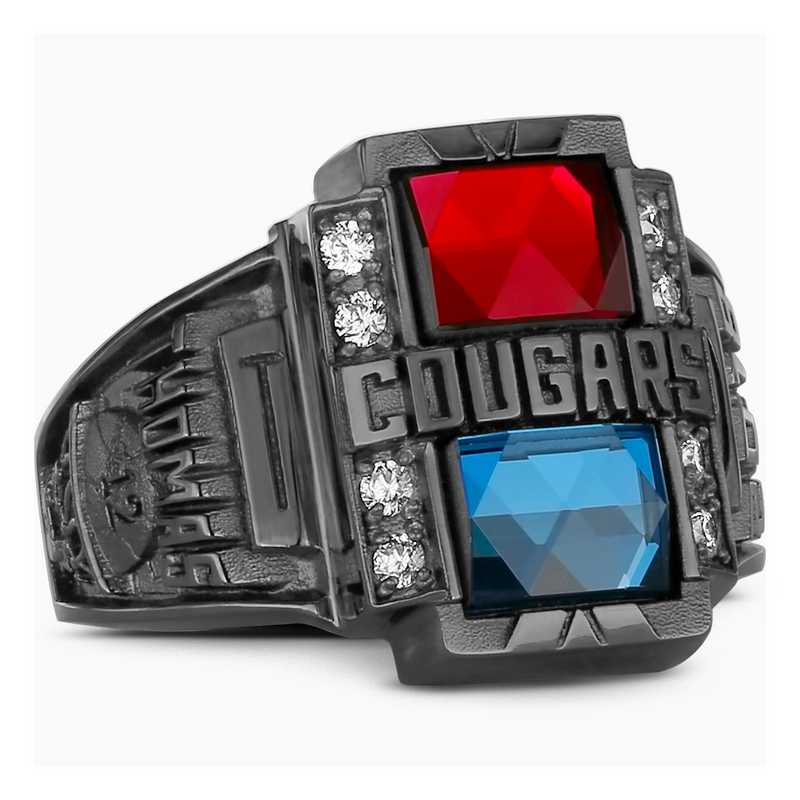 Men's L39 Valiant Legend Class Ring